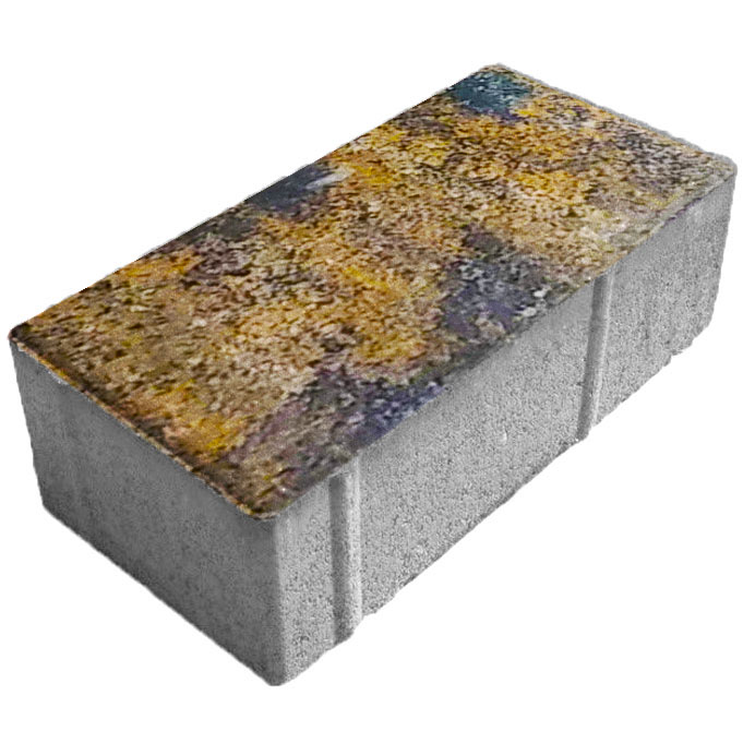 Брусчатка «Кирпич» 200x100x80 (3,68 кг.) колормикс